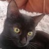 Sara Miglena Katze
